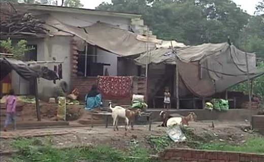 muzaffarnagar .